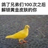 三角洲鼠鼠同好會