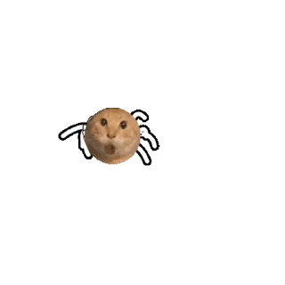 Video Sticker